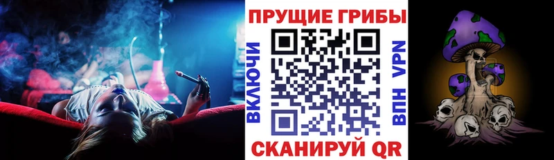 Галлюциногенные грибы Psilocybe  Купить где  Торжок 